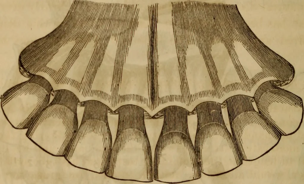 An illustration from Human science, or, Phrenology : its principles, proofs, faculties, organs, temperaments, combinations, conditions, teachings, philosophies, etc., etc. : as applied to health, its values, laws, functions, organs, means, preservation, restoration, etc. : mental philosophy, human and self improvement, civilization, home, country, commerce, rights, duties, ethics, etc. : God, His existence, attributes, laws, worship, natural theology, etc. : immortality, its evidences, conditions, relations to time, rewards, punishments, sin, faith, prayer, etc. : intellect, memory, juvenile and self education, literature, mental discipline, the senses, sciences, arts, avocations, a perfect life, etc., etc., etc., 1873, leaf 445