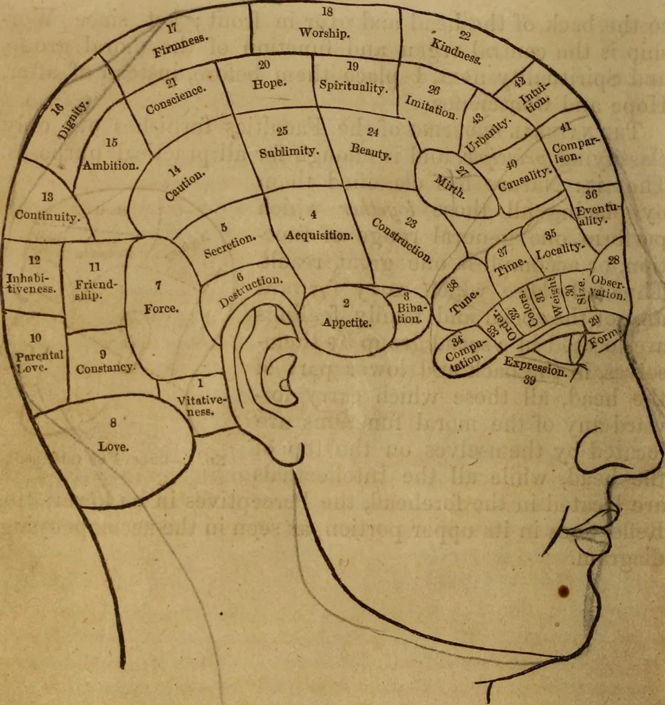 An illustration from Human science, or, Phrenology : its principles, proofs, faculties, organs, temperaments, combinations, conditions, teachings, philosophies, etc., etc. : as applied to health, its values, laws, functions, organs, means, preservation, restoration, etc. : mental philosophy, human and self improvement, civilization, home, country, commerce, rights, duties, ethics, etc. : God, His existence, attributes, laws, worship, natural theology, etc. : immortality, its evidences, conditions, relations to time, rewards, punishments, sin, faith, prayer, etc. : intellect, memory, juvenile and self education, literature, mental discipline, the senses, sciences, arts, avocations, a perfect life, etc., etc., etc., 1873, leaf 53