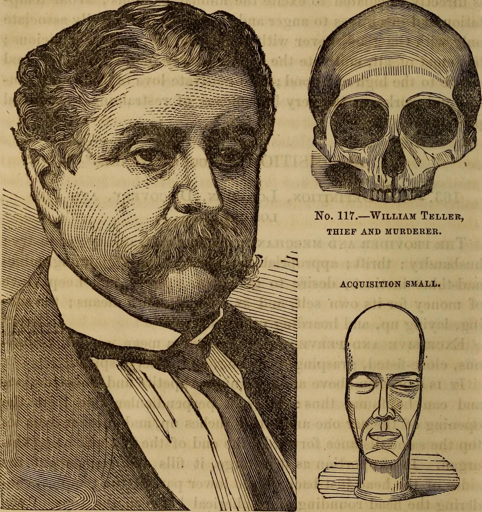 An illustration from Human science, or, Phrenology : its principles, proofs, faculties, organs, temperaments, combinations, conditions, teachings, philosophies, etc., etc. : as applied to health, its values, laws, functions, organs, means, preservation, restoration, etc. : mental philosophy, human and self improvement, civilization, home, country, commerce, rights, duties, ethics, etc. : God, His existence, attributes, laws, worship, natural theology, etc. : immortality, its evidences, conditions, relations to time, rewards, punishments, sin, faith, prayer, etc. : intellect, memory, juvenile and self education, literature, mental discipline, the senses, sciences, arts, avocations, a perfect life, etc., etc., etc., 1873, leaf 657