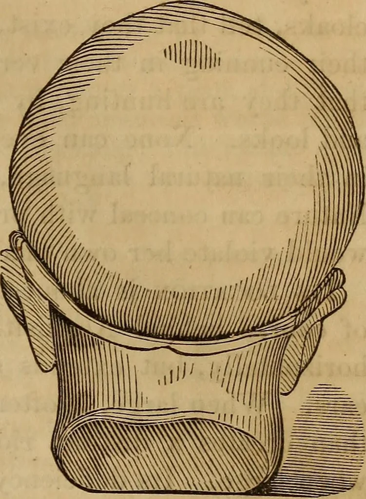 An illustration from Human science, or, Phrenology : its principles, proofs, faculties, organs, temperaments, combinations, conditions, teachings, philosophies, etc., etc. : as applied to health, its values, laws, functions, organs, means, preservation, restoration, etc. : mental philosophy, human and self improvement, civilization, home, country, commerce, rights, duties, ethics, etc. : God, His existence, attributes, laws, worship, natural theology, etc. : immortality, its evidences, conditions, relations to time, rewards, punishments, sin, faith, prayer, etc. : intellect, memory, juvenile and self education, literature, mental discipline, the senses, sciences, arts, avocations, a perfect life, etc., etc., etc., 1873, leaf 674