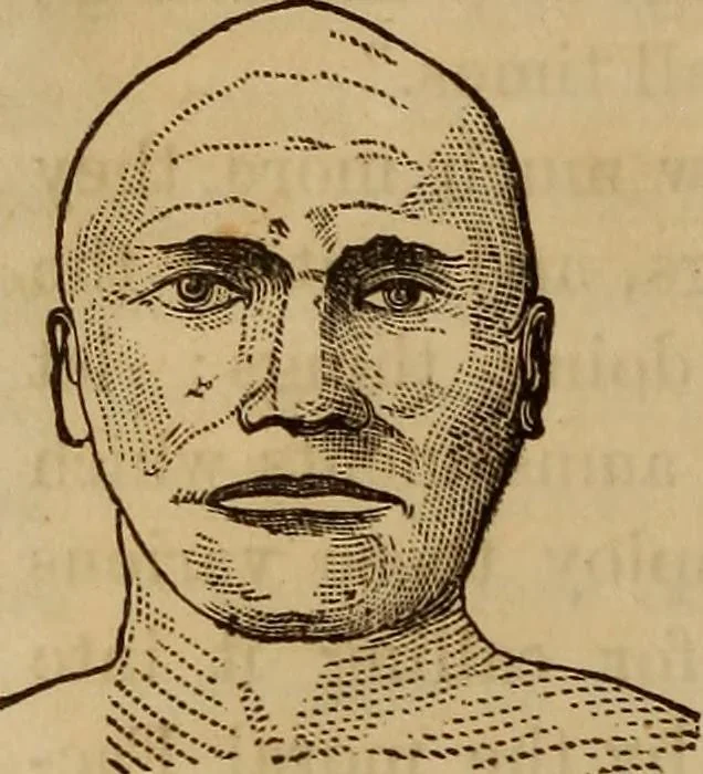 An illustration from Human science, or, Phrenology : its principles, proofs, faculties, organs, temperaments, combinations, conditions, teachings, philosophies, etc., etc. : as applied to health, its values, laws, functions, organs, means, preservation, restoration, etc. : mental philosophy, human and self improvement, civilization, home, country, commerce, rights, duties, ethics, etc. : God, His existence, attributes, laws, worship, natural theology, etc. : immortality, its evidences, conditions, relations to time, rewards, punishments, sin, faith, prayer, etc. : intellect, memory, juvenile and self education, literature, mental discipline, the senses, sciences, arts, avocations, a perfect life, etc., etc., etc., 1873, leaf 681