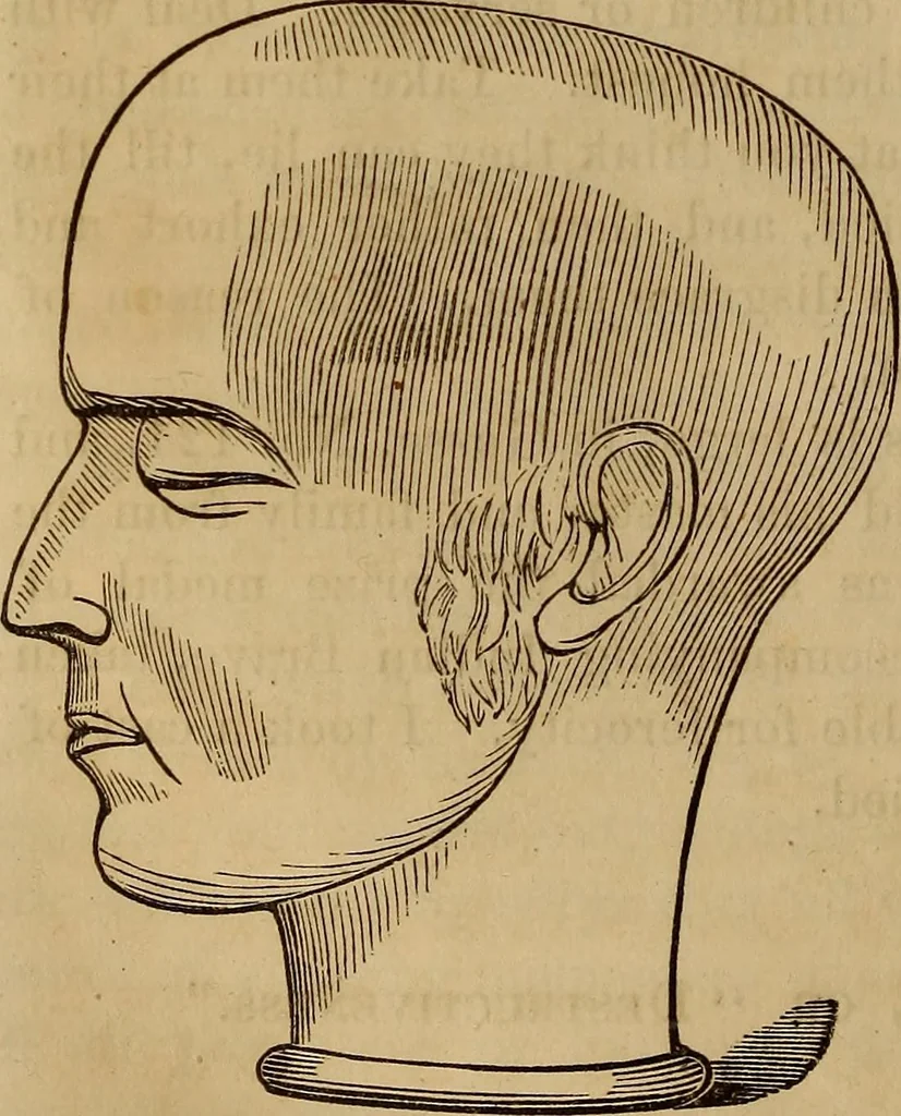 An illustration from Human science, or, Phrenology : its principles, proofs, faculties, organs, temperaments, combinations, conditions, teachings, philosophies, etc., etc. : as applied to health, its values, laws, functions, organs, means, preservation, restoration, etc. : mental philosophy, human and self improvement, civilization, home, country, commerce, rights, duties, ethics, etc. : God, His existence, attributes, laws, worship, natural theology, etc. : immortality, its evidences, conditions, relations to time, rewards, punishments, sin, faith, prayer, etc. : intellect, memory, juvenile and self education, literature, mental discipline, the senses, sciences, arts, avocations, a perfect life, etc., etc., etc., 1873, leaf 681
