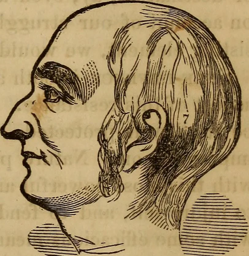 An illustration from Human science, or, Phrenology : its principles, proofs, faculties, organs, temperaments, combinations, conditions, teachings, philosophies, etc., etc. : as applied to health, its values, laws, functions, organs, means, preservation, restoration, etc. : mental philosophy, human and self improvement, civilization, home, country, commerce, rights, duties, ethics, etc. : God, His existence, attributes, laws, worship, natural theology, etc. : immortality, its evidences, conditions, relations to time, rewards, punishments, sin, faith, prayer, etc. : intellect, memory, juvenile and self education, literature, mental discipline, the senses, sciences, arts, avocations, a perfect life, etc., etc., etc., 1873, leaf 692