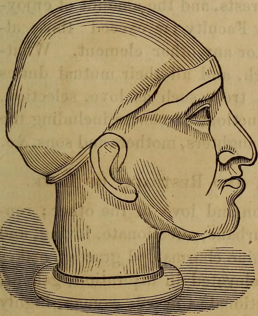 An illustration from Human science, or, Phrenology : its principles, proofs, faculties, organs, temperaments, combinations, conditions, teachings, philosophies, etc., etc. : as applied to health, its values, laws, functions, organs, means, preservation, restoration, etc. : mental philosophy, human and self improvement, civilization, home, country, commerce, rights, duties, ethics, etc. : God, His existence, attributes, laws, worship, natural theology, etc. : immortality, its evidences, conditions, relations to time, rewards, punishments, sin, faith, prayer, etc. : intellect, memory, juvenile and self education, literature, mental discipline, the senses, sciences, arts, avocations, a perfect life, etc., etc., etc., 1873, leaf 706