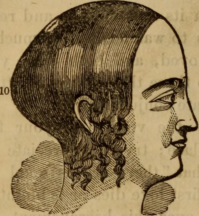 An illustration from Human science, or, Phrenology : its principles, proofs, faculties, organs, temperaments, combinations, conditions, teachings, philosophies, etc., etc. : as applied to health, its values, laws, functions, organs, means, preservation, restoration, etc. : mental philosophy, human and self improvement, civilization, home, country, commerce, rights, duties, ethics, etc. : God, His existence, attributes, laws, worship, natural theology, etc. : immortality, its evidences, conditions, relations to time, rewards, punishments, sin, faith, prayer, etc. : intellect, memory, juvenile and self education, literature, mental discipline, the senses, sciences, arts, avocations, a perfect life, etc., etc., etc., 1873, leaf 717