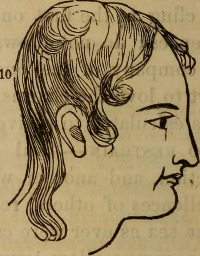 An illustration from Human science, or, Phrenology : its principles, proofs, faculties, organs, temperaments, combinations, conditions, teachings, philosophies, etc., etc. : as applied to health, its values, laws, functions, organs, means, preservation, restoration, etc. : mental philosophy, human and self improvement, civilization, home, country, commerce, rights, duties, ethics, etc. : God, His existence, attributes, laws, worship, natural theology, etc. : immortality, its evidences, conditions, relations to time, rewards, punishments, sin, faith, prayer, etc. : intellect, memory, juvenile and self education, literature, mental discipline, the senses, sciences, arts, avocations, a perfect life, etc., etc., etc., 1873, leaf 717