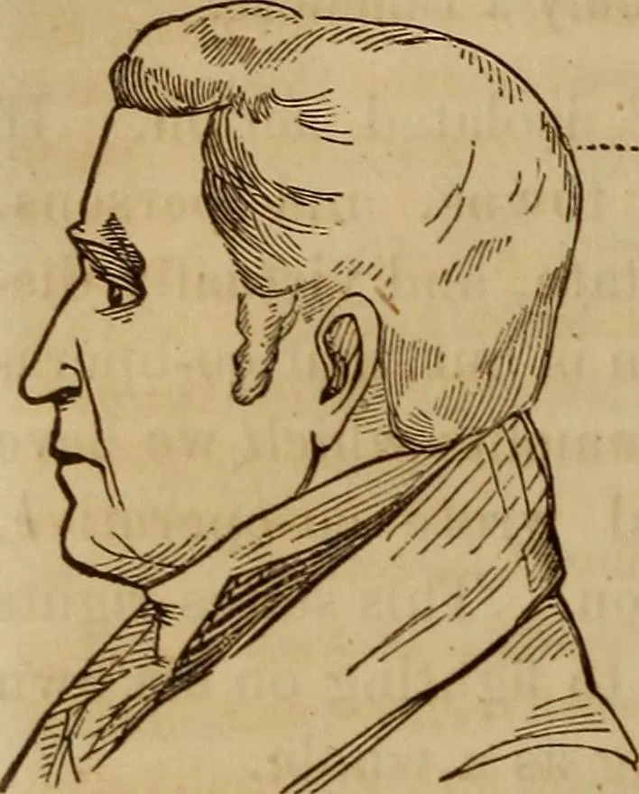 An illustration from Human science, or, Phrenology : its principles, proofs, faculties, organs, temperaments, combinations, conditions, teachings, philosophies, etc., etc. : as applied to health, its values, laws, functions, organs, means, preservation, restoration, etc. : mental philosophy, human and self improvement, civilization, home, country, commerce, rights, duties, ethics, etc. : God, His existence, attributes, laws, worship, natural theology, etc. : immortality, its evidences, conditions, relations to time, rewards, punishments, sin, faith, prayer, etc. : intellect, memory, juvenile and self education, literature, mental discipline, the senses, sciences, arts, avocations, a perfect life, etc., etc., etc., 1873, leaf 741