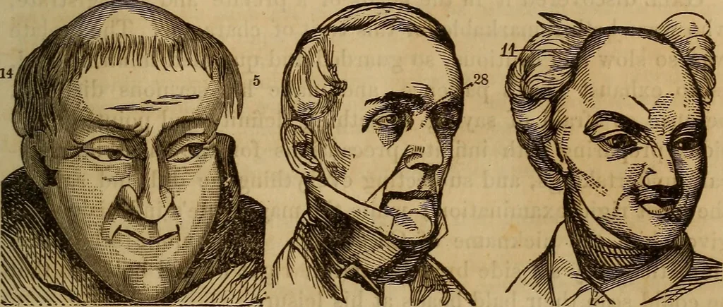 An illustration from Human science, or, Phrenology : its principles, proofs, faculties, organs, temperaments, combinations, conditions, teachings, philosophies, etc., etc. : as applied to health, its values, laws, functions, organs, means, preservation, restoration, etc. : mental philosophy, human and self improvement, civilization, home, country, commerce, rights, duties, ethics, etc. : God, His existence, attributes, laws, worship, natural theology, etc. : immortality, its evidences, conditions, relations to time, rewards, punishments, sin, faith, prayer, etc. : intellect, memory, juvenile and self education, literature, mental discipline, the senses, sciences, arts, avocations, a perfect life, etc., etc., etc., 1873, leaf 750