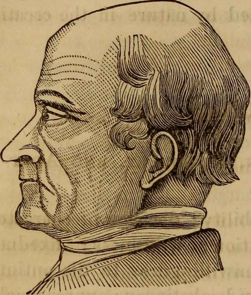 An illustration from Human science, or, Phrenology : its principles, proofs, faculties, organs, temperaments, combinations, conditions, teachings, philosophies, etc., etc. : as applied to health, its values, laws, functions, organs, means, preservation, restoration, etc. : mental philosophy, human and self improvement, civilization, home, country, commerce, rights, duties, ethics, etc. : God, His existence, attributes, laws, worship, natural theology, etc. : immortality, its evidences, conditions, relations to time, rewards, punishments, sin, faith, prayer, etc. : intellect, memory, juvenile and self education, literature, mental discipline, the senses, sciences, arts, avocations, a perfect life, etc., etc., etc., 1873, leaf 787