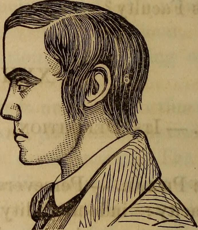 An illustration from Human science, or, Phrenology : its principles, proofs, faculties, organs, temperaments, combinations, conditions, teachings, philosophies, etc., etc. : as applied to health, its values, laws, functions, organs, means, preservation, restoration, etc. : mental philosophy, human and self improvement, civilization, home, country, commerce, rights, duties, ethics, etc. : God, His existence, attributes, laws, worship, natural theology, etc. : immortality, its evidences, conditions, relations to time, rewards, punishments, sin, faith, prayer, etc. : intellect, memory, juvenile and self education, literature, mental discipline, the senses, sciences, arts, avocations, a perfect life, etc., etc., etc., 1873, leaf 787