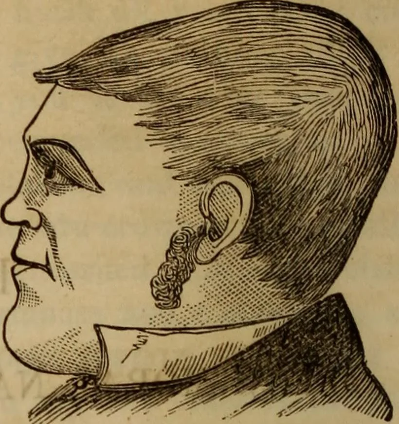 An illustration from Human science, or, Phrenology : its principles, proofs, faculties, organs, temperaments, combinations, conditions, teachings, philosophies, etc., etc. : as applied to health, its values, laws, functions, organs, means, preservation, restoration, etc. : mental philosophy, human and self improvement, civilization, home, country, commerce, rights, duties, ethics, etc. : God, His existence, attributes, laws, worship, natural theology, etc. : immortality, its evidences, conditions, relations to time, rewards, punishments, sin, faith, prayer, etc. : intellect, memory, juvenile and self education, literature, mental discipline, the senses, sciences, arts, avocations, a perfect life, etc., etc., etc., 1873, leaf 793