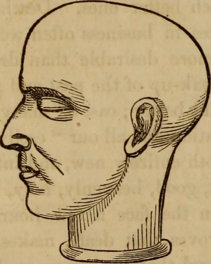 An illustration from Human science, or, Phrenology : its principles, proofs, faculties, organs, temperaments, combinations, conditions, teachings, philosophies, etc., etc. : as applied to health, its values, laws, functions, organs, means, preservation, restoration, etc. : mental philosophy, human and self improvement, civilization, home, country, commerce, rights, duties, ethics, etc. : God, His existence, attributes, laws, worship, natural theology, etc. : immortality, its evidences, conditions, relations to time, rewards, punishments, sin, faith, prayer, etc. : intellect, memory, juvenile and self education, literature, mental discipline, the senses, sciences, arts, avocations, a perfect life, etc., etc., etc., 1873, leaf 955
