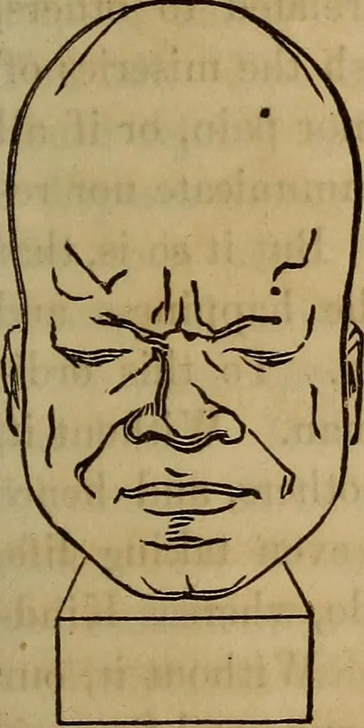 An illustration from Human science, or, Phrenology : its principles, proofs, faculties, organs, temperaments, combinations, conditions, teachings, philosophies, etc., etc. : as applied to health, its values, laws, functions, organs, means, preservation, restoration, etc. : mental philosophy, human and self improvement, civilization, home, country, commerce, rights, duties, ethics, etc. : God, His existence, attributes, laws, worship, natural theology, etc. : immortality, its evidences, conditions, relations to time, rewards, punishments, sin, faith, prayer, etc. : intellect, memory, juvenile and self education, literature, mental discipline, the senses, sciences, arts, avocations, a perfect life, etc., etc., etc., 1873, leaf 956