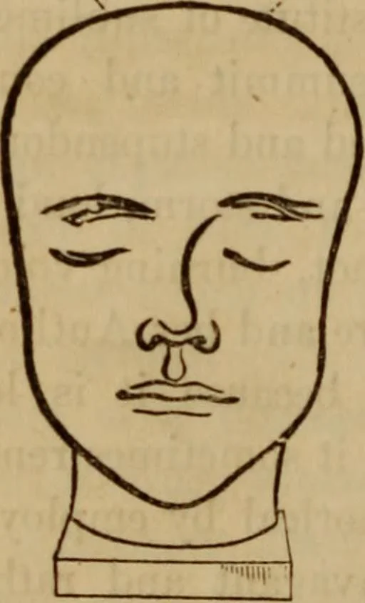 An illustration from Human science, or, Phrenology : its principles, proofs, faculties, organs, temperaments, combinations, conditions, teachings, philosophies, etc., etc. : as applied to health, its values, laws, functions, organs, means, preservation, restoration, etc. : mental philosophy, human and self improvement, civilization, home, country, commerce, rights, duties, ethics, etc. : God, His existence, attributes, laws, worship, natural theology, etc. : immortality, its evidences, conditions, relations to time, rewards, punishments, sin, faith, prayer, etc. : intellect, memory, juvenile and self education, literature, mental discipline, the senses, sciences, arts, avocations, a perfect life, etc., etc., etc., 1873, leaf 985