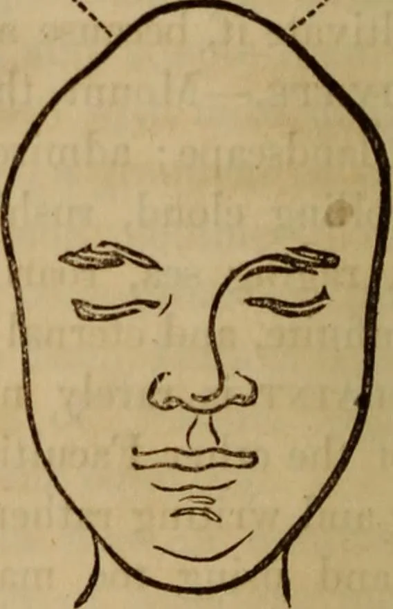 An illustration from Human science, or, Phrenology : its principles, proofs, faculties, organs, temperaments, combinations, conditions, teachings, philosophies, etc., etc. : as applied to health, its values, laws, functions, organs, means, preservation, restoration, etc. : mental philosophy, human and self improvement, civilization, home, country, commerce, rights, duties, ethics, etc. : God, His existence, attributes, laws, worship, natural theology, etc. : immortality, its evidences, conditions, relations to time, rewards, punishments, sin, faith, prayer, etc. : intellect, memory, juvenile and self education, literature, mental discipline, the senses, sciences, arts, avocations, a perfect life, etc., etc., etc., 1873, leaf 985