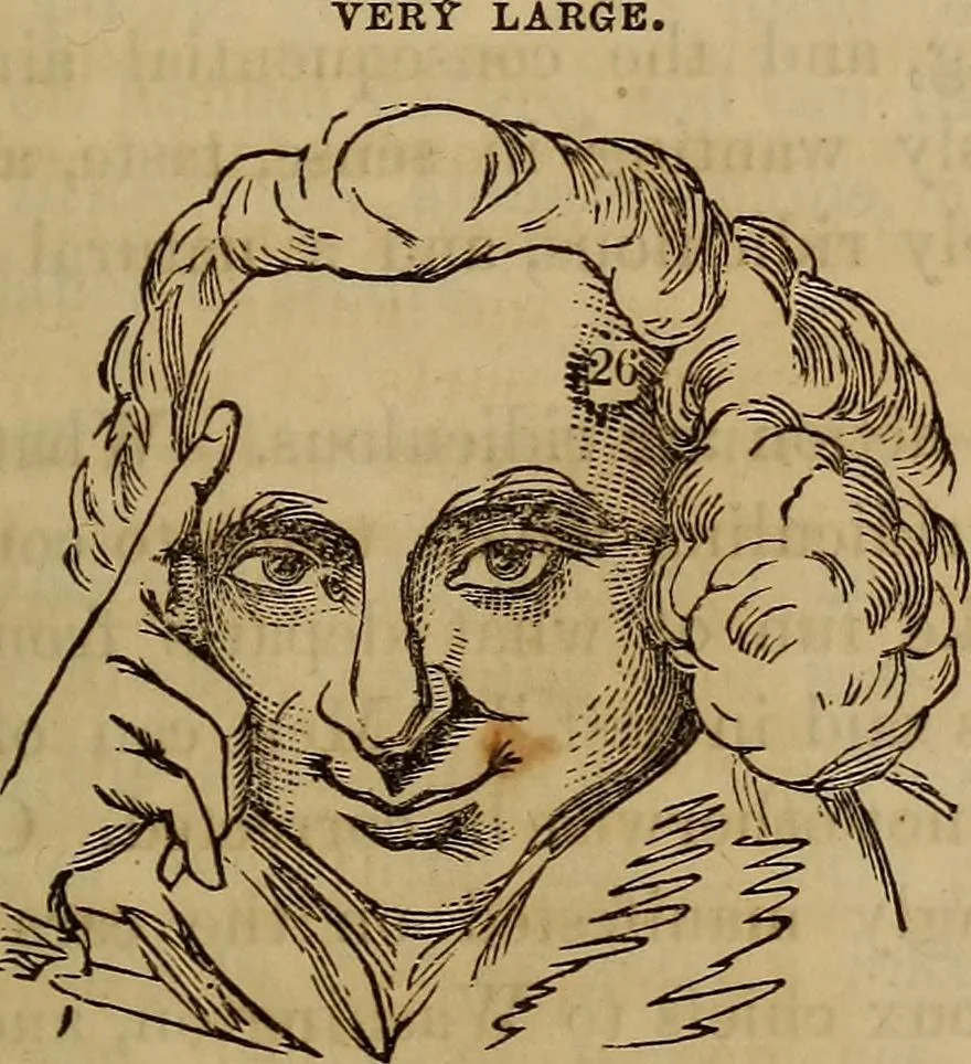 An illustration from Human science, or, Phrenology : its principles, proofs, faculties, organs, temperaments, combinations, conditions, teachings, philosophies, etc., etc. : as applied to health, its values, laws, functions, organs, means, preservation, restoration, etc. : mental philosophy, human and self improvement, civilization, home, country, commerce, rights, duties, ethics, etc. : God, His existence, attributes, laws, worship, natural theology, etc. : immortality, its evidences, conditions, relations to time, rewards, punishments, sin, faith, prayer, etc. : intellect, memory, juvenile and self education, literature, mental discipline, the senses, sciences, arts, avocations, a perfect life, etc., etc., etc., 1873, leaf 994