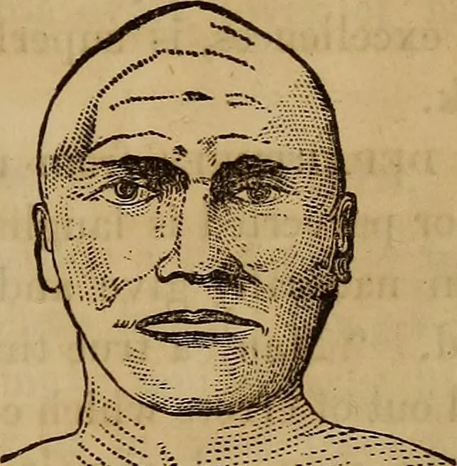 An illustration from Human science, or, Phrenology : its principles, proofs, faculties, organs, temperaments, combinations, conditions, teachings, philosophies, etc., etc. : as applied to health, its values, laws, functions, organs, means, preservation, restoration, etc. : mental philosophy, human and self improvement, civilization, home, country, commerce, rights, duties, ethics, etc. : God, His existence, attributes, laws, worship, natural theology, etc. : immortality, its evidences, conditions, relations to time, rewards, punishments, sin, faith, prayer, etc. : intellect, memory, juvenile and self education, literature, mental discipline, the senses, sciences, arts, avocations, a perfect life, etc., etc., etc., 1873, leaf 994