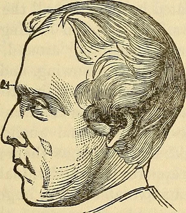 An illustration from Human science or phrenology. Its principles, proofs, faculties, organs, temperaments, combinations, conditions, teachings, philosophies, etc., etc. as applied to health. Its value, laws, functions, organs, means, preservation, restoration, etc. Mental philosophy, human and self improvement, civilization, home country, commerce rights, duties, ethics, etc. God, His existence, attributes, laws, worship, natural theology, etc. Immortality, its evidences, conditions, relations to time, rewards, punishments, sin, faith, prayer, etc. Intellect, memory, juvenile and self education, literature, mental discipline, the senses, sciences, arts, avocations, a perfect life, etc., etc, 1880, leaf 1014