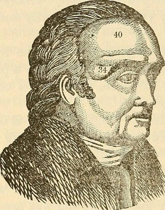 An illustration from Human science or phrenology. Its principles, proofs, faculties, organs, temperaments, combinations, conditions, teachings, philosophies, etc., etc. as applied to health. Its value, laws, functions, organs, means, preservation, restoration, etc. Mental philosophy, human and self improvement, civilization, home country, commerce rights, duties, ethics, etc. God, His existence, attributes, laws, worship, natural theology, etc. Immortality, its evidences, conditions, relations to time, rewards, punishments, sin, faith, prayer, etc. Intellect, memory, juvenile and self education, literature, mental discipline, the senses, sciences, arts, avocations, a perfect life, etc., etc, 1880, leaf 1043