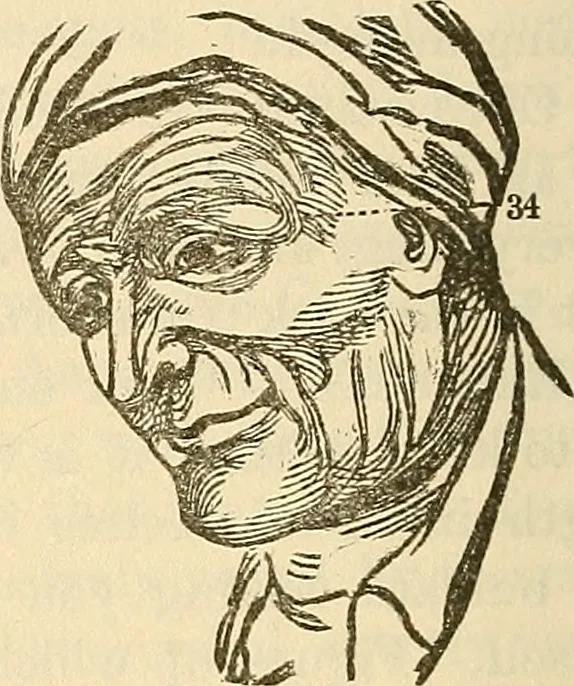 An illustration from Human science or phrenology. Its principles, proofs, faculties, organs, temperaments, combinations, conditions, teachings, philosophies, etc., etc. as applied to health. Its value, laws, functions, organs, means, preservation, restoration, etc. Mental philosophy, human and self improvement, civilization, home country, commerce rights, duties, ethics, etc. God, His existence, attributes, laws, worship, natural theology, etc. Immortality, its evidences, conditions, relations to time, rewards, punishments, sin, faith, prayer, etc. Intellect, memory, juvenile and self education, literature, mental discipline, the senses, sciences, arts, avocations, a perfect life, etc., etc, 1880, leaf 1043
