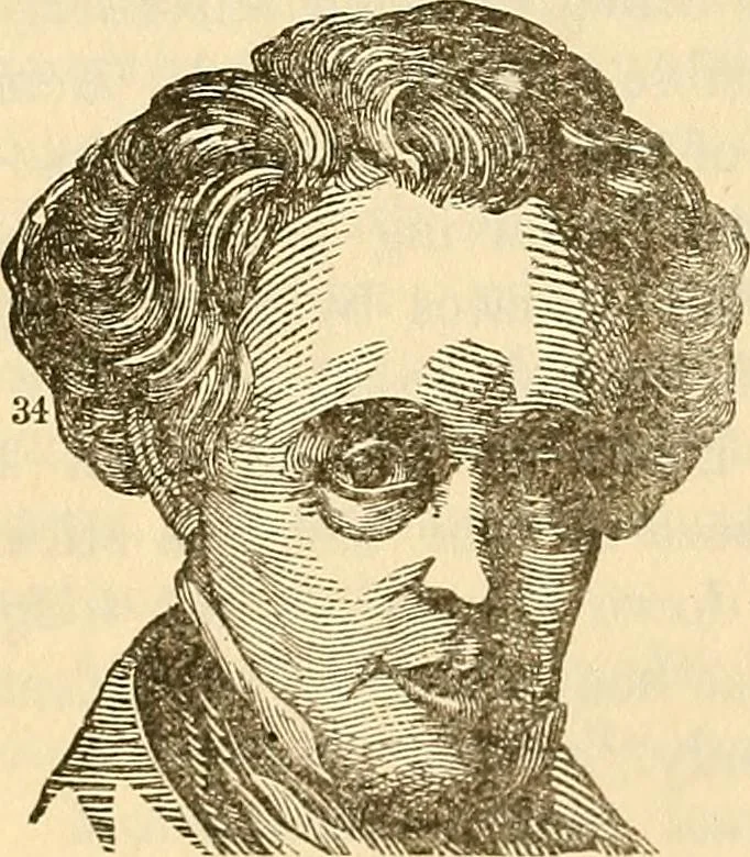 An illustration from Human science or phrenology. Its principles, proofs, faculties, organs, temperaments, combinations, conditions, teachings, philosophies, etc., etc. as applied to health. Its value, laws, functions, organs, means, preservation, restoration, etc. Mental philosophy, human and self improvement, civilization, home country, commerce rights, duties, ethics, etc. God, His existence, attributes, laws, worship, natural theology, etc. Immortality, its evidences, conditions, relations to time, rewards, punishments, sin, faith, prayer, etc. Intellect, memory, juvenile and self education, literature, mental discipline, the senses, sciences, arts, avocations, a perfect life, etc., etc, 1880, leaf 1043