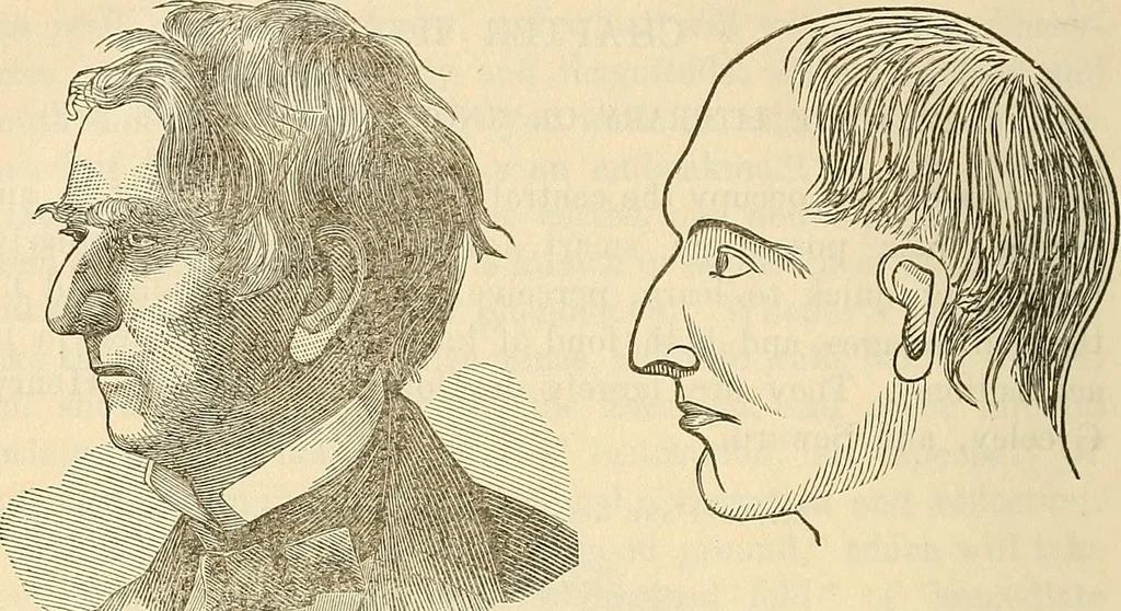 An illustration from Human science or phrenology. Its principles, proofs, faculties, organs, temperaments, combinations, conditions, teachings, philosophies, etc., etc. as applied to health. Its value, laws, functions, organs, means, preservation, restoration, etc. Mental philosophy, human and self improvement, civilization, home country, commerce rights, duties, ethics, etc. God, His existence, attributes, laws, worship, natural theology, etc. Immortality, its evidences, conditions, relations to time, rewards, punishments, sin, faith, prayer, etc. Intellect, memory, juvenile and self education, literature, mental discipline, the senses, sciences, arts, avocations, a perfect life, etc., etc, 1880, leaf 1063