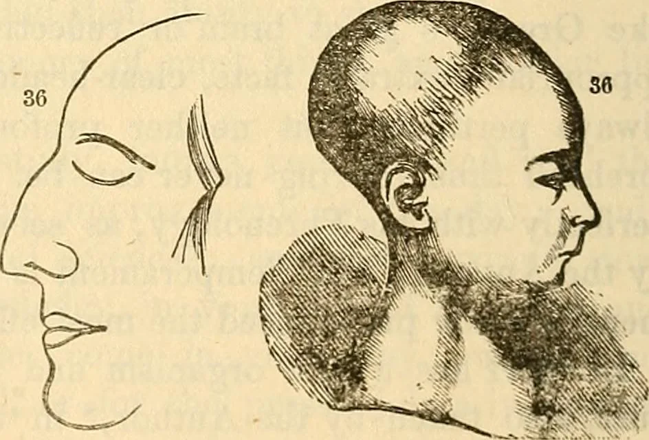 An illustration from Human science or phrenology. Its principles, proofs, faculties, organs, temperaments, combinations, conditions, teachings, philosophies, etc., etc. as applied to health. Its value, laws, functions, organs, means, preservation, restoration, etc. Mental philosophy, human and self improvement, civilization, home country, commerce rights, duties, ethics, etc. God, His existence, attributes, laws, worship, natural theology, etc. Immortality, its evidences, conditions, relations to time, rewards, punishments, sin, faith, prayer, etc. Intellect, memory, juvenile and self education, literature, mental discipline, the senses, sciences, arts, avocations, a perfect life, etc., etc, 1880, leaf 1065