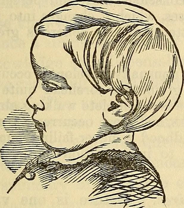 An illustration from Human science or phrenology. Its principles, proofs, faculties, organs, temperaments, combinations, conditions, teachings, philosophies, etc., etc. as applied to health. Its value, laws, functions, organs, means, preservation, restoration, etc. Mental philosophy, human and self improvement, civilization, home country, commerce rights, duties, ethics, etc. God, His existence, attributes, laws, worship, natural theology, etc. Immortality, its evidences, conditions, relations to time, rewards, punishments, sin, faith, prayer, etc. Intellect, memory, juvenile and self education, literature, mental discipline, the senses, sciences, arts, avocations, a perfect life, etc., etc, 1880, leaf 1066