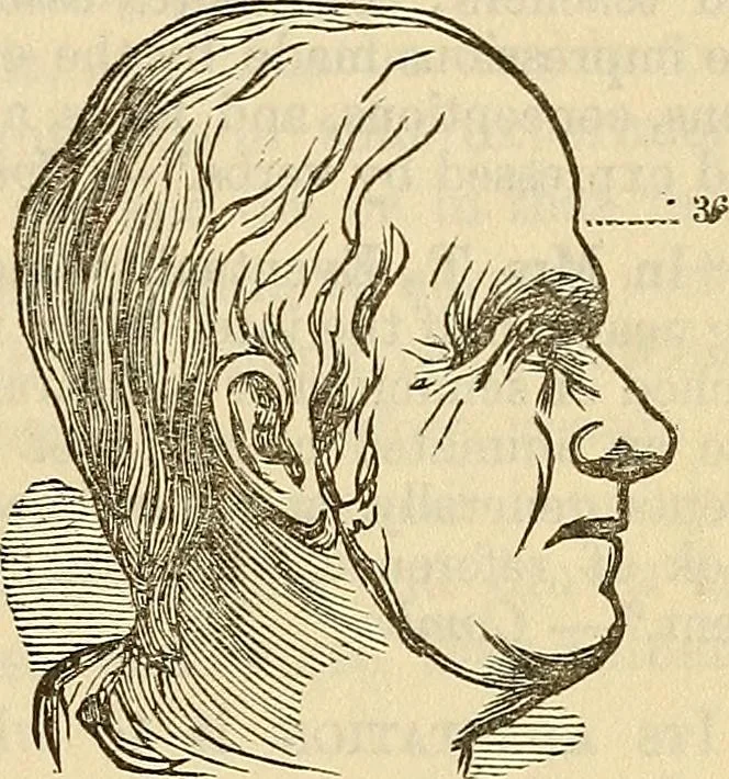An illustration from Human science or phrenology. Its principles, proofs, faculties, organs, temperaments, combinations, conditions, teachings, philosophies, etc., etc. as applied to health. Its value, laws, functions, organs, means, preservation, restoration, etc. Mental philosophy, human and self improvement, civilization, home country, commerce rights, duties, ethics, etc. God, His existence, attributes, laws, worship, natural theology, etc. Immortality, its evidences, conditions, relations to time, rewards, punishments, sin, faith, prayer, etc. Intellect, memory, juvenile and self education, literature, mental discipline, the senses, sciences, arts, avocations, a perfect life, etc., etc, 1880, leaf 1066