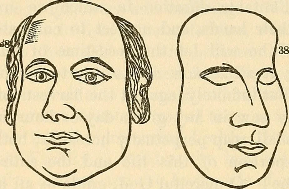 An illustration from Human science or phrenology. Its principles, proofs, faculties, organs, temperaments, combinations, conditions, teachings, philosophies, etc., etc. as applied to health. Its value, laws, functions, organs, means, preservation, restoration, etc. Mental philosophy, human and self improvement, civilization, home country, commerce rights, duties, ethics, etc. God, His existence, attributes, laws, worship, natural theology, etc. Immortality, its evidences, conditions, relations to time, rewards, punishments, sin, faith, prayer, etc. Intellect, memory, juvenile and self education, literature, mental discipline, the senses, sciences, arts, avocations, a perfect life, etc., etc, 1880, leaf 1093