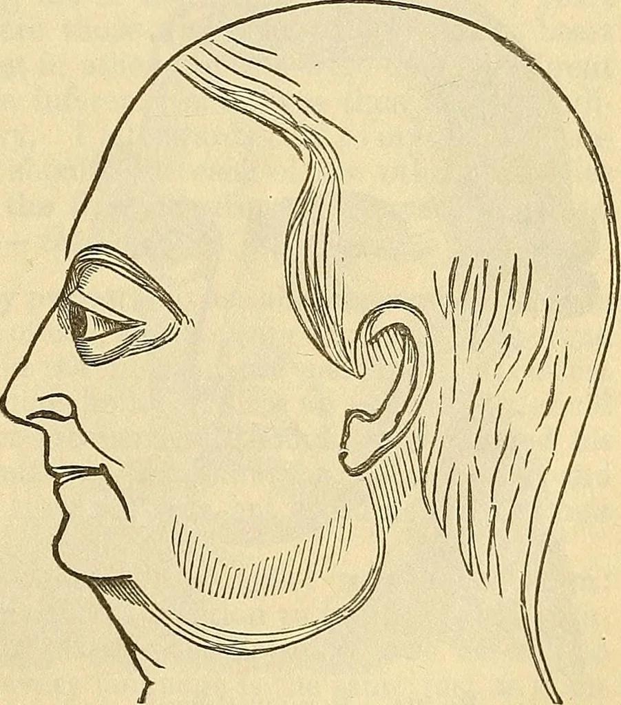 An illustration from Human science or phrenology. Its principles, proofs, faculties, organs, temperaments, combinations, conditions, teachings, philosophies, etc., etc. as applied to health. Its value, laws, functions, organs, means, preservation, restoration, etc. Mental philosophy, human and self improvement, civilization, home country, commerce rights, duties, ethics, etc. God, His existence, attributes, laws, worship, natural theology, etc. Immortality, its evidences, conditions, relations to time, rewards, punishments, sin, faith, prayer, etc. Intellect, memory, juvenile and self education, literature, mental discipline, the senses, sciences, arts, avocations, a perfect life, etc., etc, 1880, leaf 1104