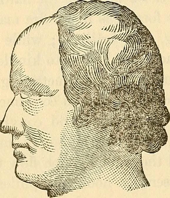 An illustration from Human science or phrenology. Its principles, proofs, faculties, organs, temperaments, combinations, conditions, teachings, philosophies, etc., etc. as applied to health. Its value, laws, functions, organs, means, preservation, restoration, etc. Mental philosophy, human and self improvement, civilization, home country, commerce rights, duties, ethics, etc. God, His existence, attributes, laws, worship, natural theology, etc. Immortality, its evidences, conditions, relations to time, rewards, punishments, sin, faith, prayer, etc. Intellect, memory, juvenile and self education, literature, mental discipline, the senses, sciences, arts, avocations, a perfect life, etc., etc, 1880, leaf 1131