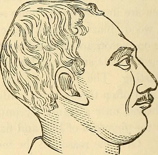 An illustration from Human science or phrenology. Its principles, proofs, faculties, organs, temperaments, combinations, conditions, teachings, philosophies, etc., etc. as applied to health. Its value, laws, functions, organs, means, preservation, restoration, etc. Mental philosophy, human and self improvement, civilization, home country, commerce rights, duties, ethics, etc. God, His existence, attributes, laws, worship, natural theology, etc. Immortality, its evidences, conditions, relations to time, rewards, punishments, sin, faith, prayer, etc. Intellect, memory, juvenile and self education, literature, mental discipline, the senses, sciences, arts, avocations, a perfect life, etc., etc, 1880, leaf 1131
