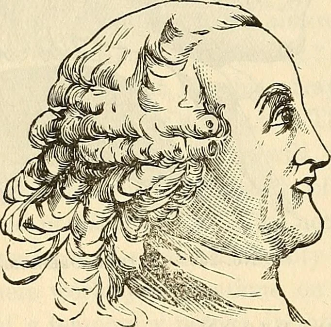 An illustration from Human science or phrenology. Its principles, proofs, faculties, organs, temperaments, combinations, conditions, teachings, philosophies, etc., etc. as applied to health. Its value, laws, functions, organs, means, preservation, restoration, etc. Mental philosophy, human and self improvement, civilization, home country, commerce rights, duties, ethics, etc. God, His existence, attributes, laws, worship, natural theology, etc. Immortality, its evidences, conditions, relations to time, rewards, punishments, sin, faith, prayer, etc. Intellect, memory, juvenile and self education, literature, mental discipline, the senses, sciences, arts, avocations, a perfect life, etc., etc, 1880, leaf 1145