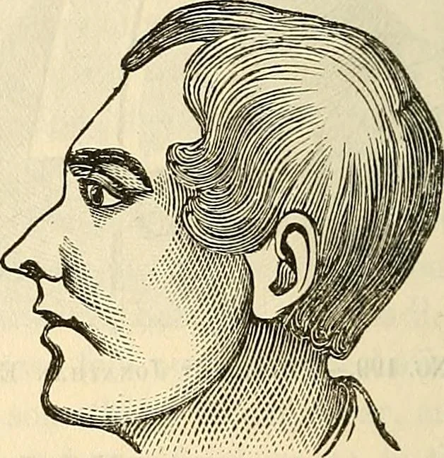 An illustration from Human science or phrenology. Its principles, proofs, faculties, organs, temperaments, combinations, conditions, teachings, philosophies, etc., etc. as applied to health. Its value, laws, functions, organs, means, preservation, restoration, etc. Mental philosophy, human and self improvement, civilization, home country, commerce rights, duties, ethics, etc. God, His existence, attributes, laws, worship, natural theology, etc. Immortality, its evidences, conditions, relations to time, rewards, punishments, sin, faith, prayer, etc. Intellect, memory, juvenile and self education, literature, mental discipline, the senses, sciences, arts, avocations, a perfect life, etc., etc, 1880, leaf 1145