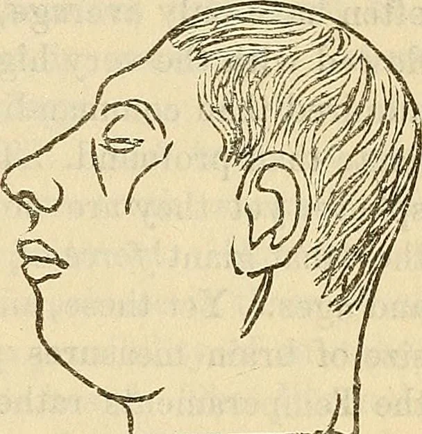 An illustration from Human science or phrenology. Its principles, proofs, faculties, organs, temperaments, combinations, conditions, teachings, philosophies, etc., etc. as applied to health. Its value, laws, functions, organs, means, preservation, restoration, etc. Mental philosophy, human and self improvement, civilization, home country, commerce rights, duties, ethics, etc. God, His existence, attributes, laws, worship, natural theology, etc. Immortality, its evidences, conditions, relations to time, rewards, punishments, sin, faith, prayer, etc. Intellect, memory, juvenile and self education, literature, mental discipline, the senses, sciences, arts, avocations, a perfect life, etc., etc, 1880, leaf 192
