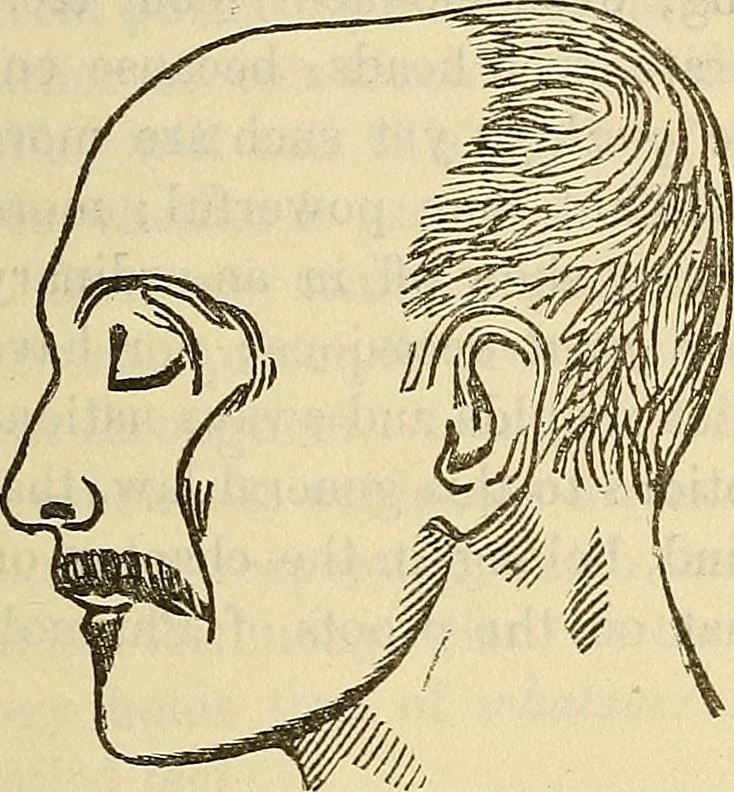 An illustration from Human science or phrenology. Its principles, proofs, faculties, organs, temperaments, combinations, conditions, teachings, philosophies, etc., etc. as applied to health. Its value, laws, functions, organs, means, preservation, restoration, etc. Mental philosophy, human and self improvement, civilization, home country, commerce rights, duties, ethics, etc. God, His existence, attributes, laws, worship, natural theology, etc. Immortality, its evidences, conditions, relations to time, rewards, punishments, sin, faith, prayer, etc. Intellect, memory, juvenile and self education, literature, mental discipline, the senses, sciences, arts, avocations, a perfect life, etc., etc, 1880, leaf 192