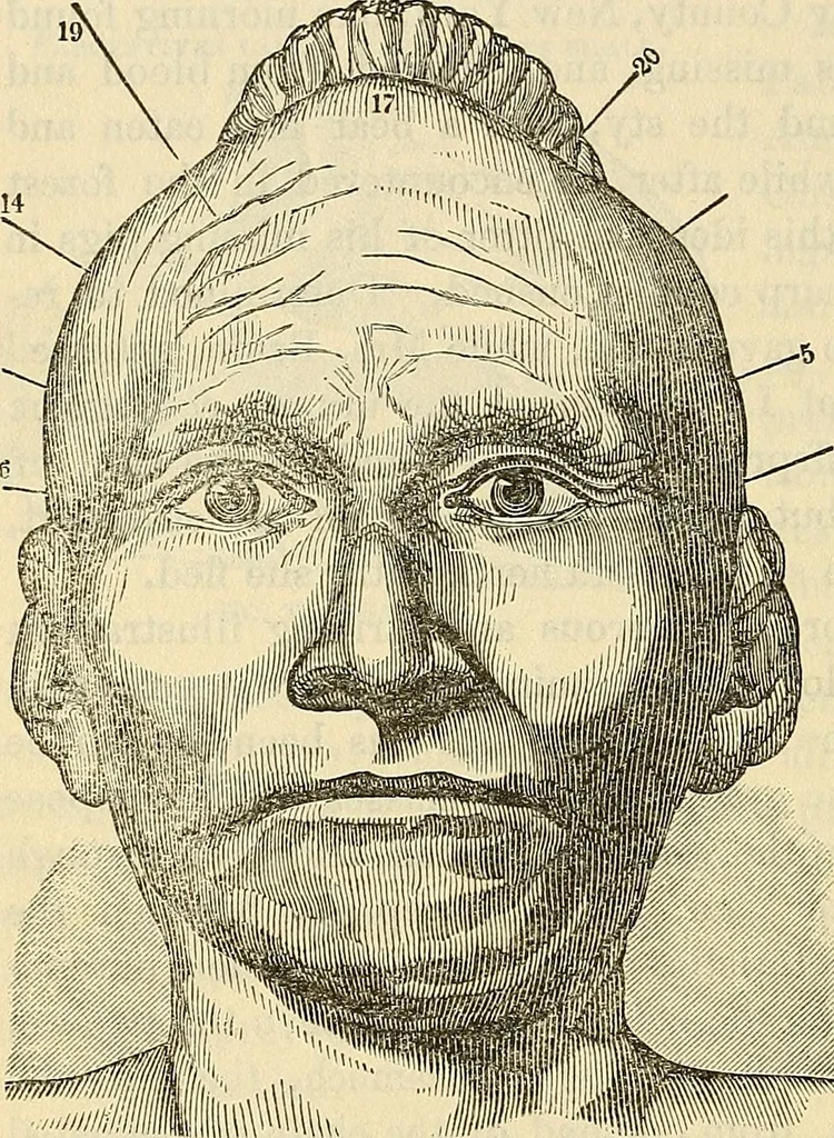 An illustration from Human science or phrenology. Its principles, proofs, faculties, organs, temperaments, combinations, conditions, teachings, philosophies, etc., etc. as applied to health. Its value, laws, functions, organs, means, preservation, restoration, etc. Mental philosophy, human and self improvement, civilization, home country, commerce rights, duties, ethics, etc. God, His existence, attributes, laws, worship, natural theology, etc. Immortality, its evidences, conditions, relations to time, rewards, punishments, sin, faith, prayer, etc. Intellect, memory, juvenile and self education, literature, mental discipline, the senses, sciences, arts, avocations, a perfect life, etc., etc, 1880, leaf 201