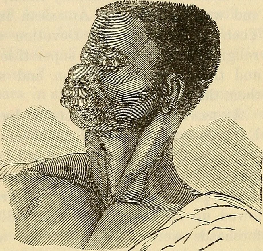 An illustration from Human science or phrenology. Its principles, proofs, faculties, organs, temperaments, combinations, conditions, teachings, philosophies, etc., etc. as applied to health. Its value, laws, functions, organs, means, preservation, restoration, etc. Mental philosophy, human and self improvement, civilization, home country, commerce rights, duties, ethics, etc. God, His existence, attributes, laws, worship, natural theology, etc. Immortality, its evidences, conditions, relations to time, rewards, punishments, sin, faith, prayer, etc. Intellect, memory, juvenile and self education, literature, mental discipline, the senses, sciences, arts, avocations, a perfect life, etc., etc, 1880, leaf 206
