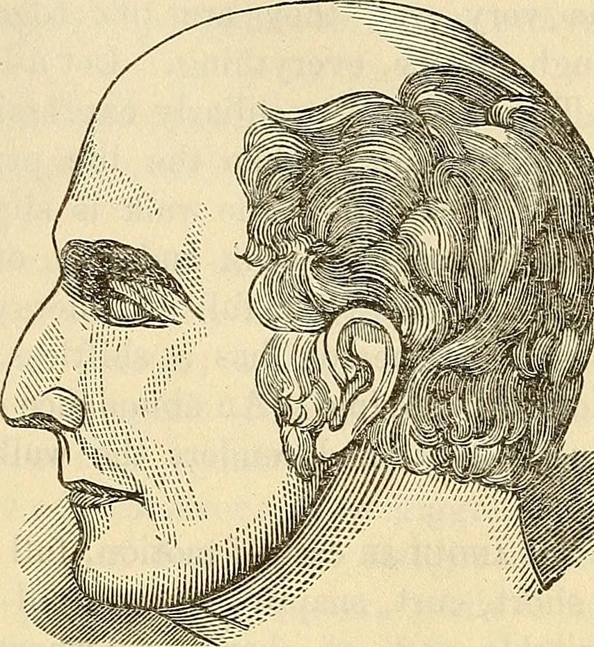 An illustration from Human science or phrenology. Its principles, proofs, faculties, organs, temperaments, combinations, conditions, teachings, philosophies, etc., etc. as applied to health. Its value, laws, functions, organs, means, preservation, restoration, etc. Mental philosophy, human and self improvement, civilization, home country, commerce rights, duties, ethics, etc. God, His existence, attributes, laws, worship, natural theology, etc. Immortality, its evidences, conditions, relations to time, rewards, punishments, sin, faith, prayer, etc. Intellect, memory, juvenile and self education, literature, mental discipline, the senses, sciences, arts, avocations, a perfect life, etc., etc, 1880, leaf 310