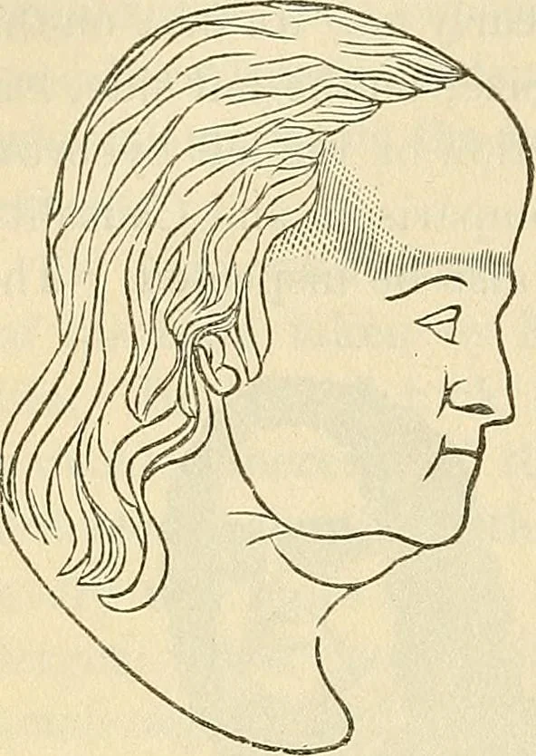 An illustration from Human science or phrenology. Its principles, proofs, faculties, organs, temperaments, combinations, conditions, teachings, philosophies, etc., etc. as applied to health. Its value, laws, functions, organs, means, preservation, restoration, etc. Mental philosophy, human and self improvement, civilization, home country, commerce rights, duties, ethics, etc. God, His existence, attributes, laws, worship, natural theology, etc. Immortality, its evidences, conditions, relations to time, rewards, punishments, sin, faith, prayer, etc. Intellect, memory, juvenile and self education, literature, mental discipline, the senses, sciences, arts, avocations, a perfect life, etc., etc, 1880, leaf 333