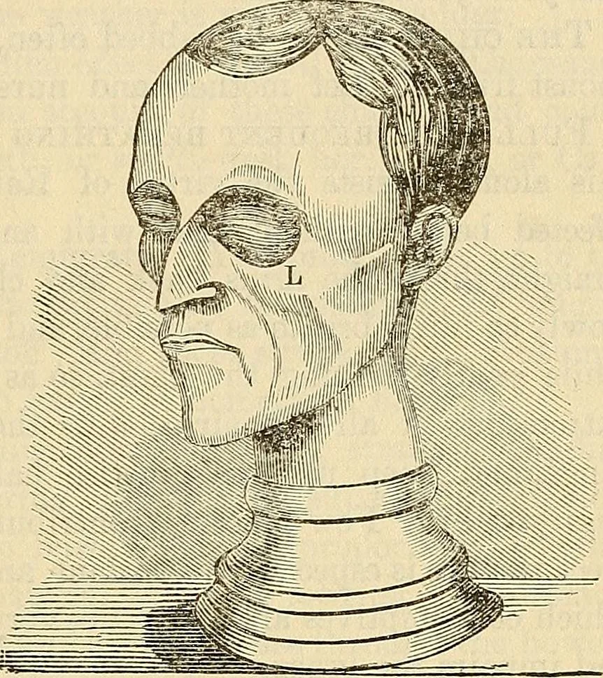 An illustration from Human science or phrenology. Its principles, proofs, faculties, organs, temperaments, combinations, conditions, teachings, philosophies, etc., etc. as applied to health. Its value, laws, functions, organs, means, preservation, restoration, etc. Mental philosophy, human and self improvement, civilization, home country, commerce rights, duties, ethics, etc. God, His existence, attributes, laws, worship, natural theology, etc. Immortality, its evidences, conditions, relations to time, rewards, punishments, sin, faith, prayer, etc. Intellect, memory, juvenile and self education, literature, mental discipline, the senses, sciences, arts, avocations, a perfect life, etc., etc, 1880, leaf 408