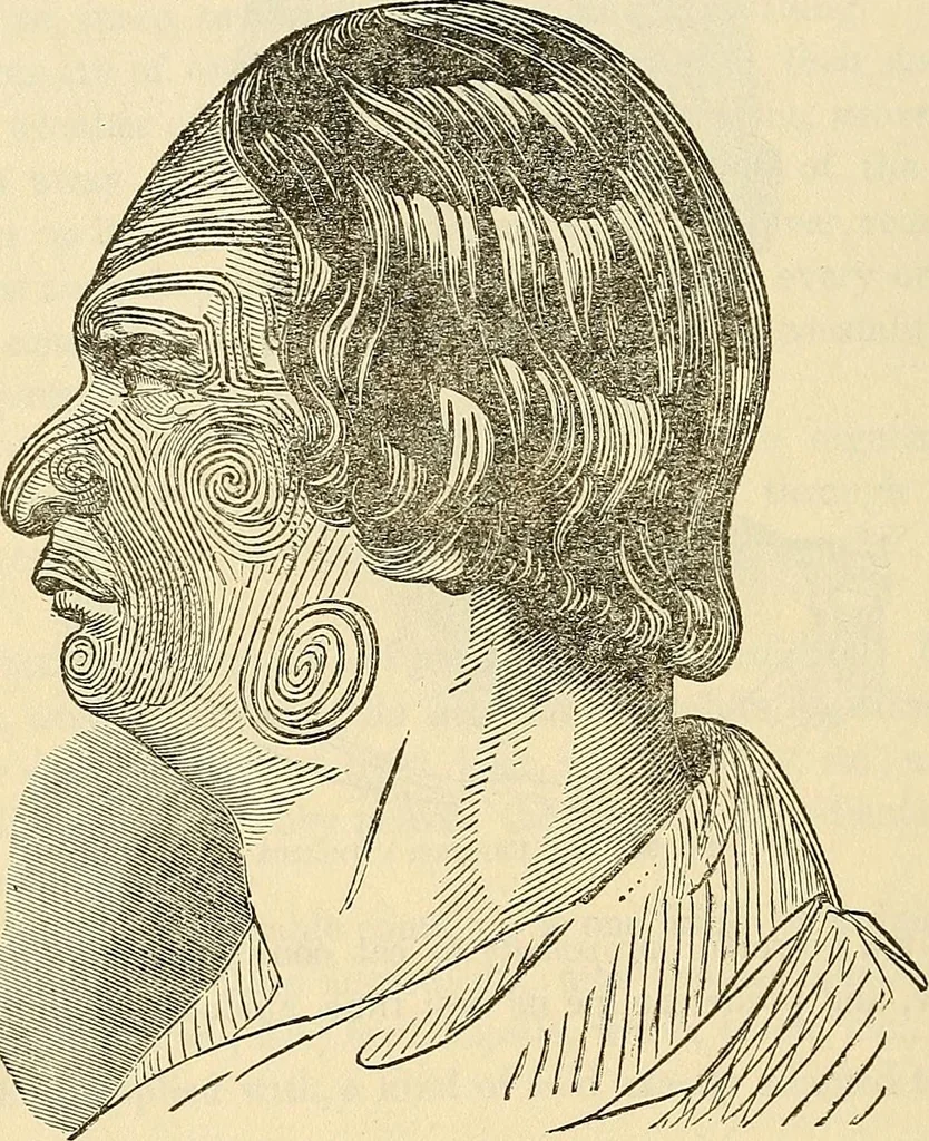 An illustration from Human science or phrenology. Its principles, proofs, faculties, organs, temperaments, combinations, conditions, teachings, philosophies, etc., etc. as applied to health. Its value, laws, functions, organs, means, preservation, restoration, etc. Mental philosophy, human and self improvement, civilization, home country, commerce rights, duties, ethics, etc. God, His existence, attributes, laws, worship, natural theology, etc. Immortality, its evidences, conditions, relations to time, rewards, punishments, sin, faith, prayer, etc. Intellect, memory, juvenile and self education, literature, mental discipline, the senses, sciences, arts, avocations, a perfect life, etc., etc, 1880, leaf 423