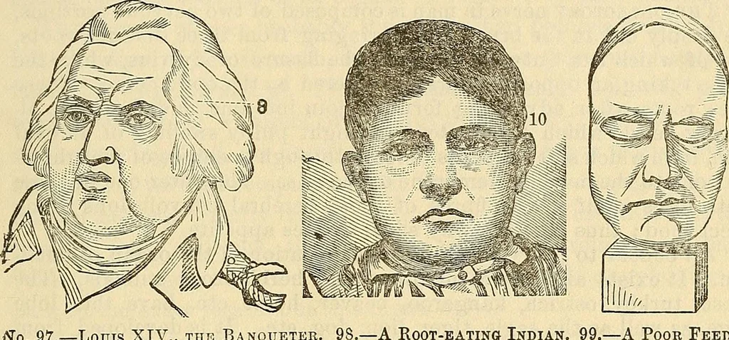 An illustration from Human science or phrenology. Its principles, proofs, faculties, organs, temperaments, combinations, conditions, teachings, philosophies, etc., etc. as applied to health. Its value, laws, functions, organs, means, preservation, restoration, etc. Mental philosophy, human and self improvement, civilization, home country, commerce rights, duties, ethics, etc. God, His existence, attributes, laws, worship, natural theology, etc. Immortality, its evidences, conditions, relations to time, rewards, punishments, sin, faith, prayer, etc. Intellect, memory, juvenile and self education, literature, mental discipline, the senses, sciences, arts, avocations, a perfect life, etc., etc, 1880, leaf 424