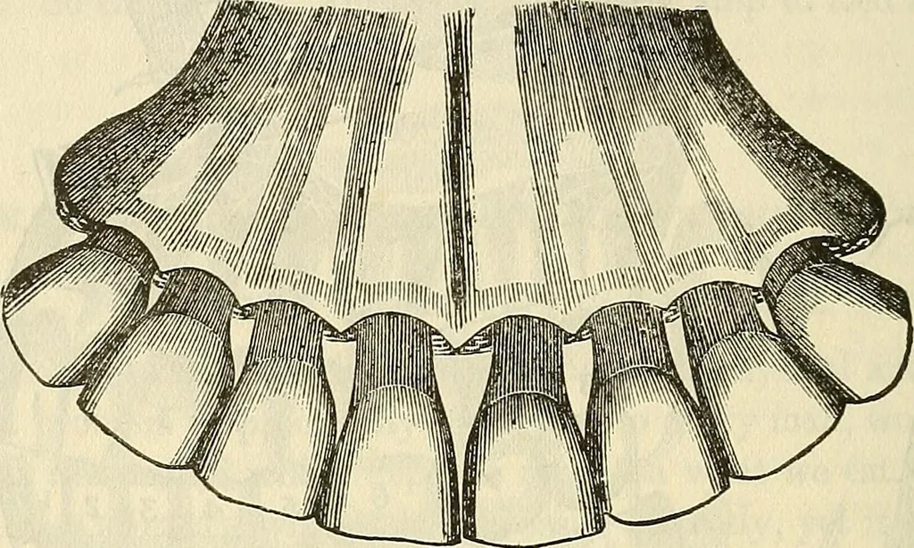 An illustration from Human science or phrenology. Its principles, proofs, faculties, organs, temperaments, combinations, conditions, teachings, philosophies, etc., etc. as applied to health. Its value, laws, functions, organs, means, preservation, restoration, etc. Mental philosophy, human and self improvement, civilization, home country, commerce rights, duties, ethics, etc. God, His existence, attributes, laws, worship, natural theology, etc. Immortality, its evidences, conditions, relations to time, rewards, punishments, sin, faith, prayer, etc. Intellect, memory, juvenile and self education, literature, mental discipline, the senses, sciences, arts, avocations, a perfect life, etc., etc, 1880, leaf 441