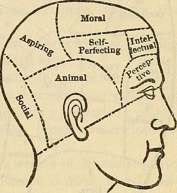 An illustration from Human science or phrenology. Its principles, proofs, faculties, organs, temperaments, combinations, conditions, teachings, philosophies, etc., etc. as applied to health. Its value, laws, functions, organs, means, preservation, restoration, etc. Mental philosophy, human and self improvement, civilization, home country, commerce rights, duties, ethics, etc. God, His existence, attributes, laws, worship, natural theology, etc. Immortality, its evidences, conditions, relations to time, rewards, punishments, sin, faith, prayer, etc. Intellect, memory, juvenile and self education, literature, mental discipline, the senses, sciences, arts, avocations, a perfect life, etc., etc, 1880, leaf 48