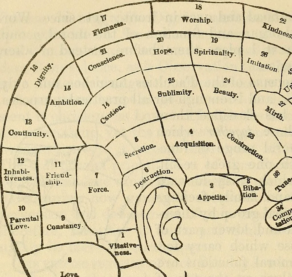An illustration from Human science or phrenology. Its principles, proofs, faculties, organs, temperaments, combinations, conditions, teachings, philosophies, etc., etc. as applied to health. Its value, laws, functions, organs, means, preservation, restoration, etc. Mental philosophy, human and self improvement, civilization, home country, commerce rights, duties, ethics, etc. God, His existence, attributes, laws, worship, natural theology, etc. Immortality, its evidences, conditions, relations to time, rewards, punishments, sin, faith, prayer, etc. Intellect, memory, juvenile and self education, literature, mental discipline, the senses, sciences, arts, avocations, a perfect life, etc., etc, 1880, leaf 49