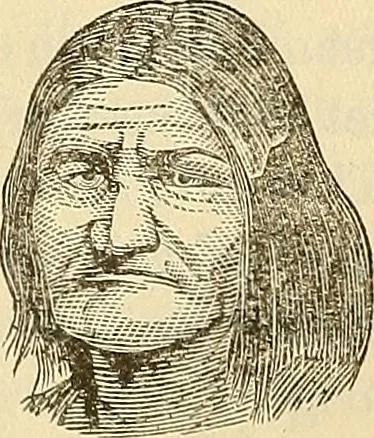 An illustration from Human science or phrenology. Its principles, proofs, faculties, organs, temperaments, combinations, conditions, teachings, philosophies, etc., etc. as applied to health. Its value, laws, functions, organs, means, preservation, restoration, etc. Mental philosophy, human and self improvement, civilization, home country, commerce rights, duties, ethics, etc. God, His existence, attributes, laws, worship, natural theology, etc. Immortality, its evidences, conditions, relations to time, rewards, punishments, sin, faith, prayer, etc. Intellect, memory, juvenile and self education, literature, mental discipline, the senses, sciences, arts, avocations, a perfect life, etc., etc, 1880, leaf 648