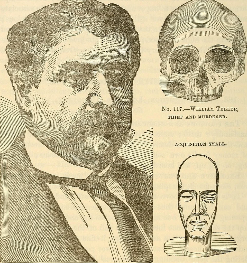 An illustration from Human science or phrenology. Its principles, proofs, faculties, organs, temperaments, combinations, conditions, teachings, philosophies, etc., etc. as applied to health. Its value, laws, functions, organs, means, preservation, restoration, etc. Mental philosophy, human and self improvement, civilization, home country, commerce rights, duties, ethics, etc. God, His existence, attributes, laws, worship, natural theology, etc. Immortality, its evidences, conditions, relations to time, rewards, punishments, sin, faith, prayer, etc. Intellect, memory, juvenile and self education, literature, mental discipline, the senses, sciences, arts, avocations, a perfect life, etc., etc, 1880, leaf 653