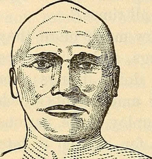 An illustration from Human science or phrenology. Its principles, proofs, faculties, organs, temperaments, combinations, conditions, teachings, philosophies, etc., etc. as applied to health. Its value, laws, functions, organs, means, preservation, restoration, etc. Mental philosophy, human and self improvement, civilization, home country, commerce rights, duties, ethics, etc. God, His existence, attributes, laws, worship, natural theology, etc. Immortality, its evidences, conditions, relations to time, rewards, punishments, sin, faith, prayer, etc. Intellect, memory, juvenile and self education, literature, mental discipline, the senses, sciences, arts, avocations, a perfect life, etc., etc, 1880, leaf 677